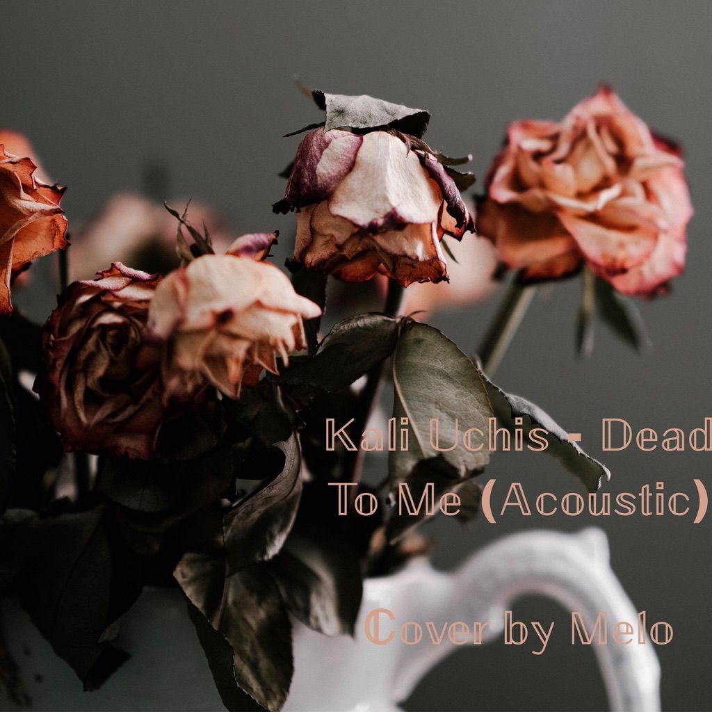 Kali Uchis - Dead To Me (Acoustic) - Cover by Melo